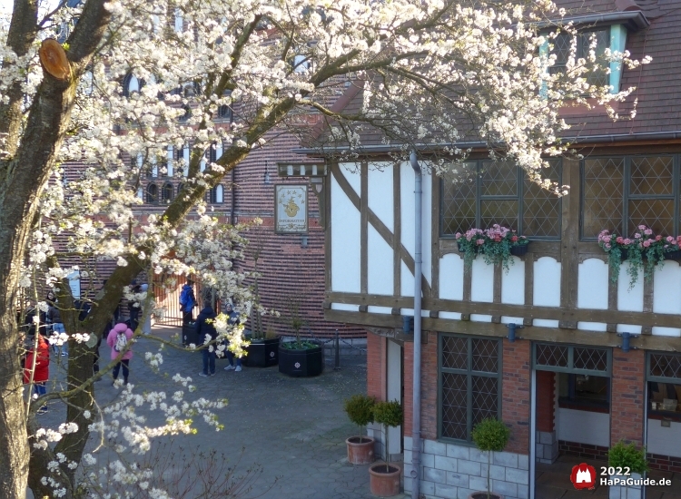 Frühjahrsblüte - Blühender Baum Hanse in Europa