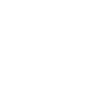 Icon Bär