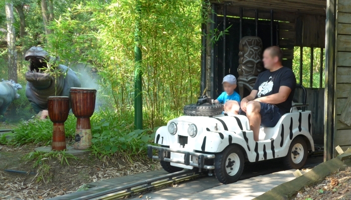 Im Zebra-Jeep auf Foto-Safari durch den Dschungel