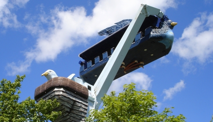 Freier Fall im Sturmvogel