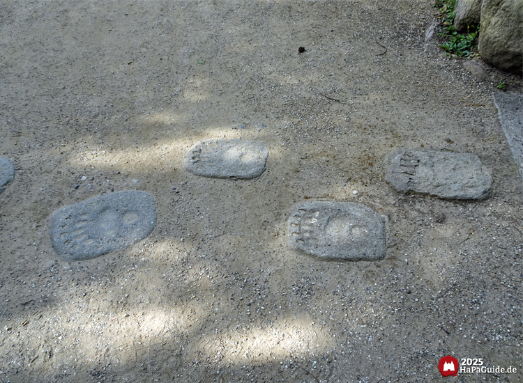 Abenteuerland - Bärentatzen im sandigen Boden