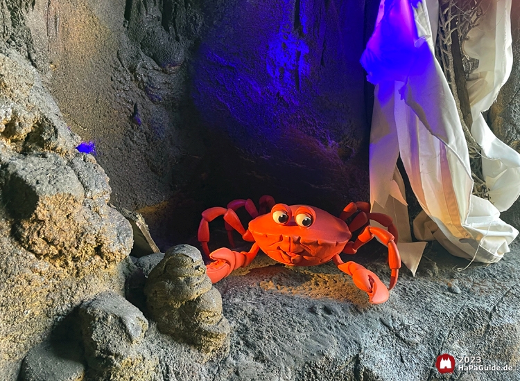 Awildas Abenteuerfahrt - Krabbe