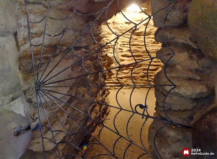 Bärenhöhle - Spinnengitter verschließt Zugang