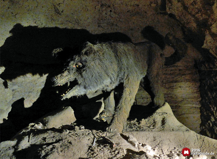 Bärenhöhle - Grauer Wolf zwischen Felsen