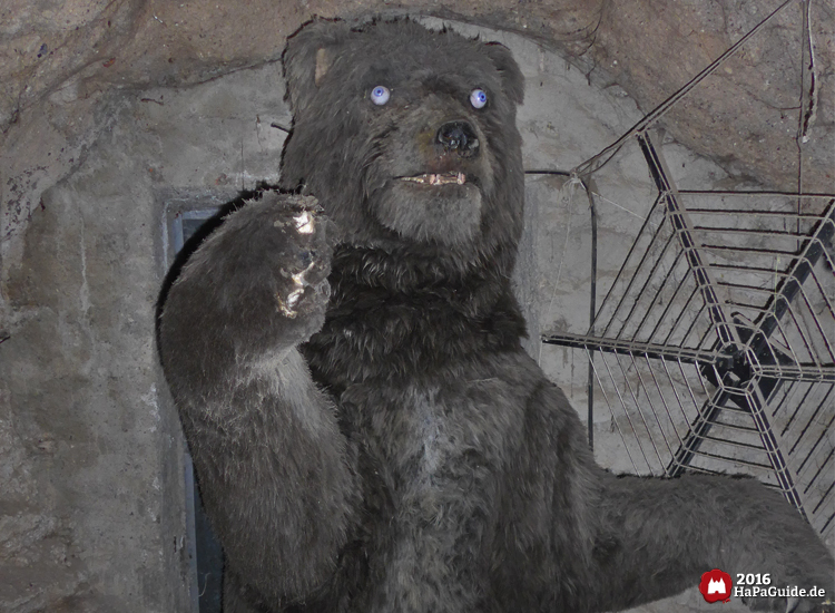 Bärenhöhle - Großer Bär mit blauen Augen