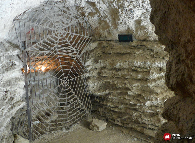 Bärenhöhle - Gitter als Spinnennetz