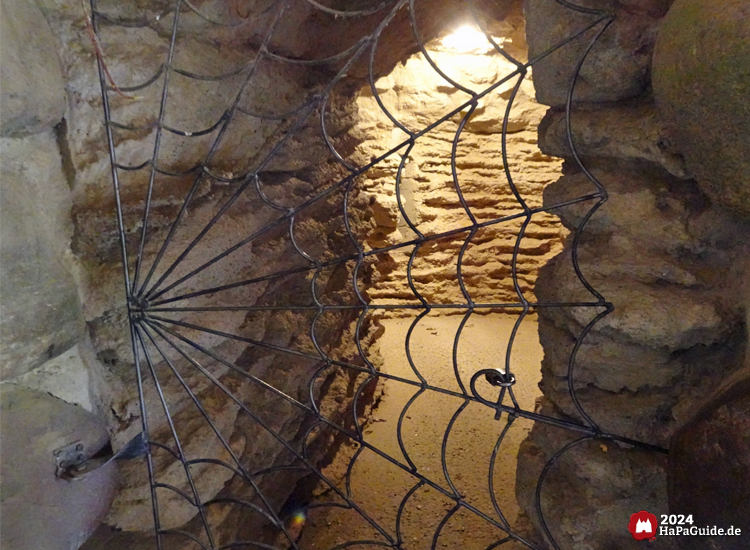 Bärenhöhle - Gitter als Spinnennetz verschließt den Höhlenausgang