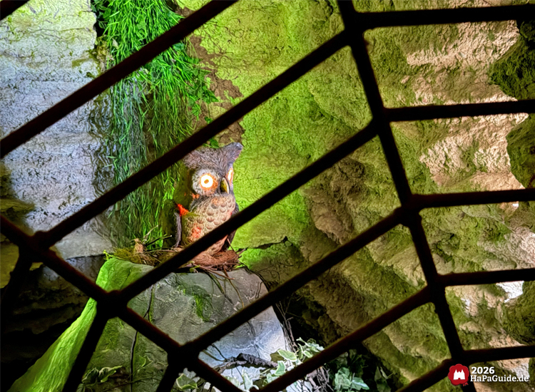 Eulenfigur mit leuchtenden Augen in der Bärenhöhle des Hansa-Parks, sitzt auf einem Felsen hinter einem Metallgitter, umgeben von grün beleuchteten Felswänden und Pflanzen