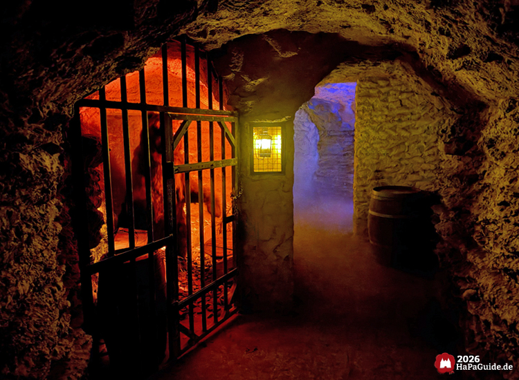 Steiniger Gang in der Bärenhöhle des Hansa-Parks mit beleuchtetem Gittertor und gelber Laterne, im Hintergrund bläuliches Licht und Nebel, erzeugt eine geheimnisvolle Atmosphäre