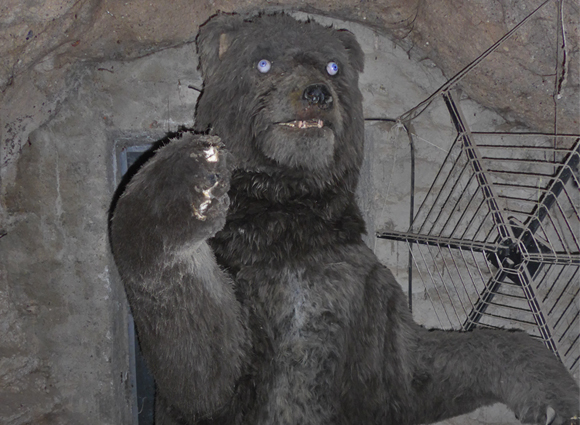 Bilder-Galerie öffnen