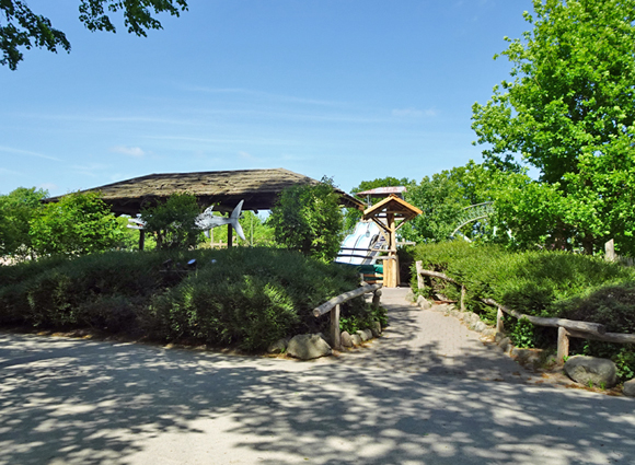 Mit Klick Bilder-Galerie öffnen Bilder-Galerie öffnen