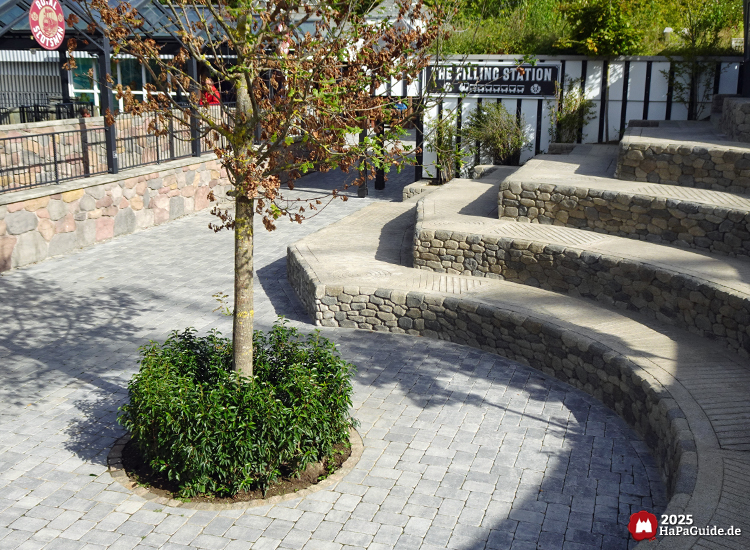 Bezauberndes Britannien - Umwachsener Baum