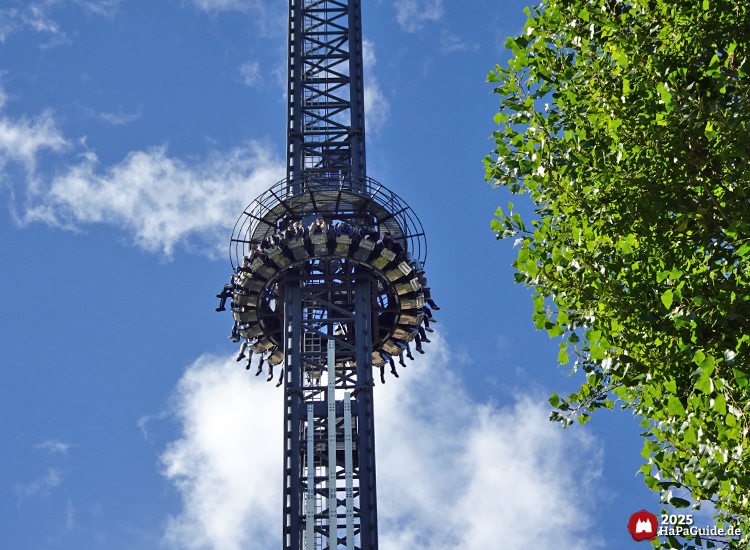 Bezauberndes Britannien - Der Highlander schraubt neben einem Baum aufwärts