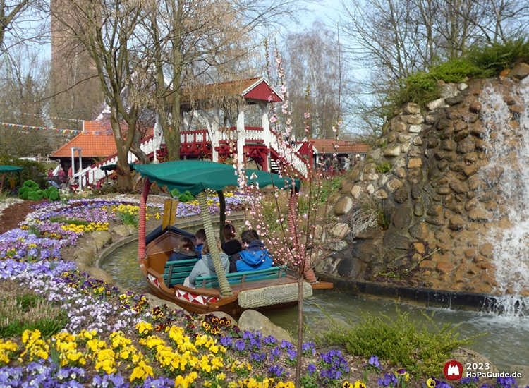 Blumenmeerbootsfahrt - Stiefmütterchen und Wasserfall