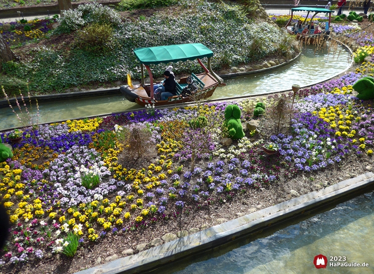 Blumenmeerbootsfahrt - Frühlingsblumen