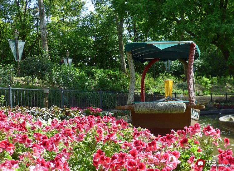 Blumenmeerbootsfahrt - Boot hinter Sommerblumen