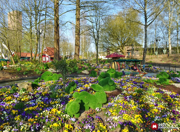 Blumenmeerbootsfahrt - Rasen-Hasen zwischen Frühlingsblumen