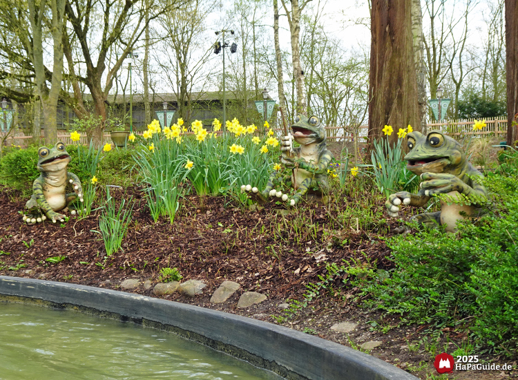 Blumenmeerbootsfahrt - Drei Frösche zwischen Osterglocken