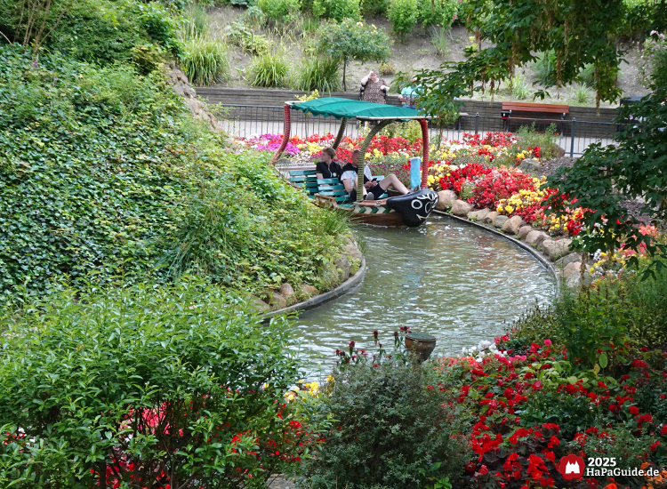 Blumenmeerbootsfahrt - Zwischen Grün und Sommerblumen
