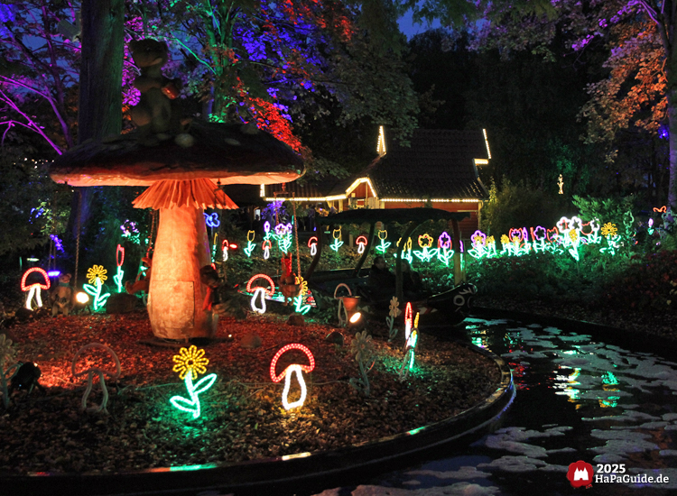 Blumenmeerbootsfahrt - Ein Fliegenpilz zwischen leuchtenden Blumen