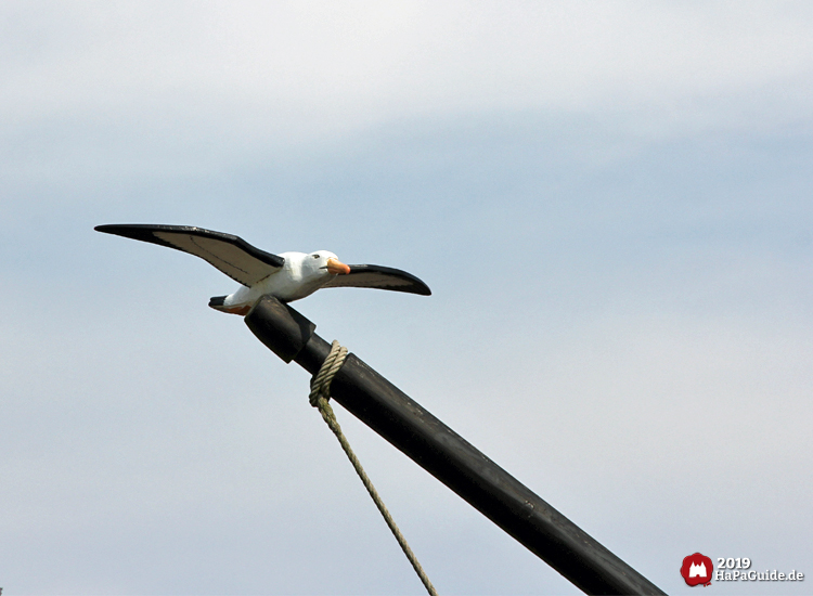 Caravelle Ni&ntilde;a - Fliegende Möwe auf Mast