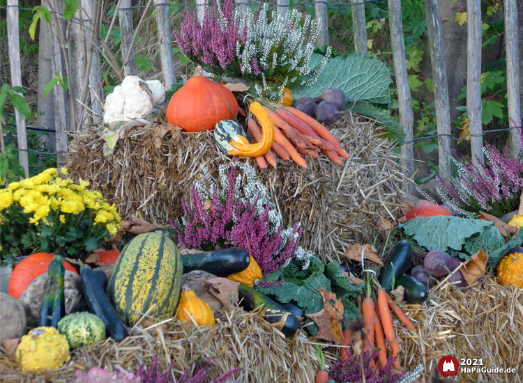 Erntedank im Hansa-Park - Beet Stroh