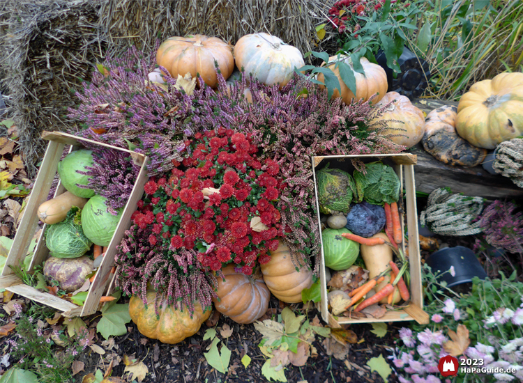 Erntedank im Hansa‑Park - Beet