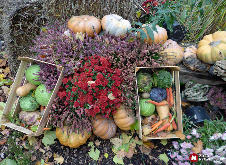 Erntedank im Hansa-Park - Beet