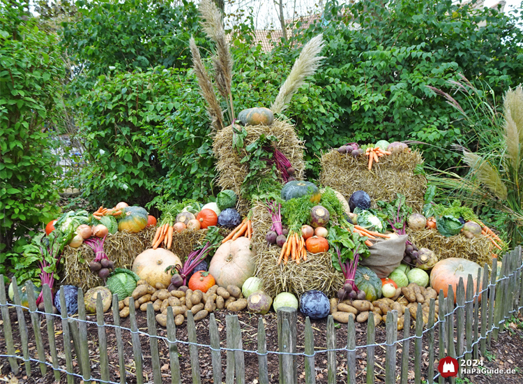 Erntedank im Hansa‑Park - Stroh mit Gemüse