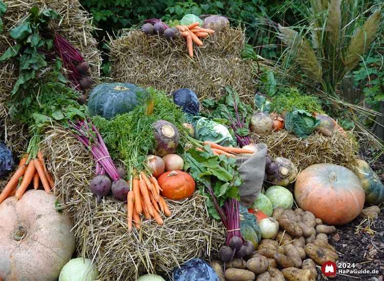 Erntedank im Hansa‑Park - Gemüse auf Stroh