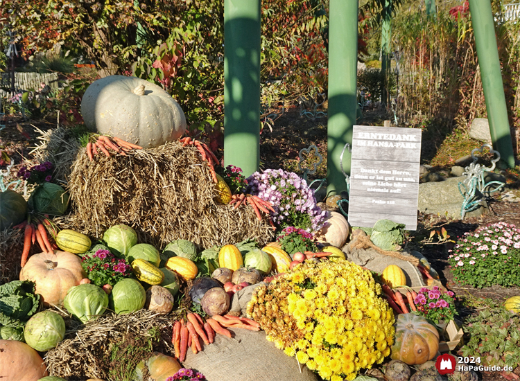 Erntedank im Hansa‑Park - Stroh, Gemüse und Psalm