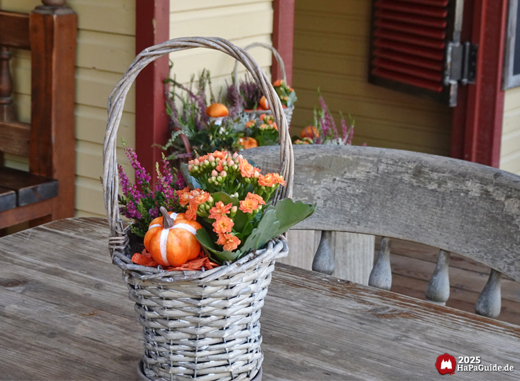 Erntedank im Hansa-Park - Korb mit Blumen und Kürbisdekoration