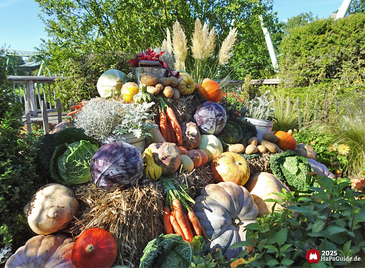 Erntedank im Hansa-Park - Berg aus Gemüse, Feldfrüchten und Stroh