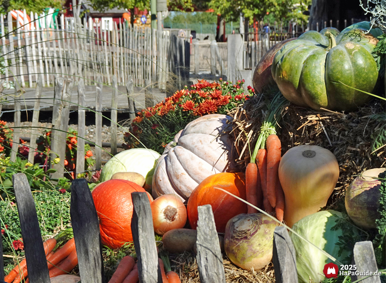Erntedank im Hansa-Park - Haufen aus Kürbissen