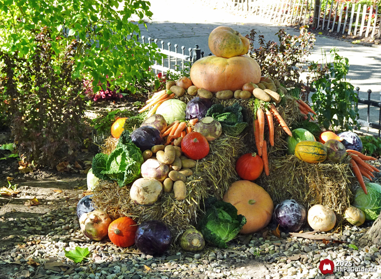 Erntedank im Hansa-Park - Gemüse auf Strohballen im Hansa-Garten
