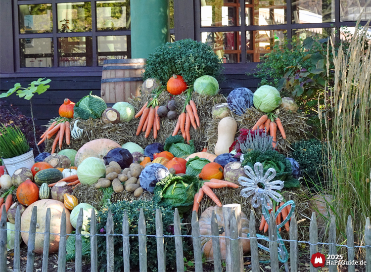 Erntedank im Hansa-Park - Feldfrüchte auf Stroh an der Rückseite des Kiosks im Peterhof