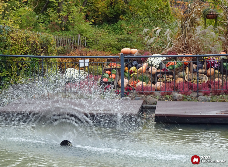 Herbstliche Dekoration zu Erntedank im Hansa-Park mit Wasserfontäne vor einem Arrangement aus Kürbissen, Zierkürbissen und Blumen, umgeben von herbstlicher Vegetation