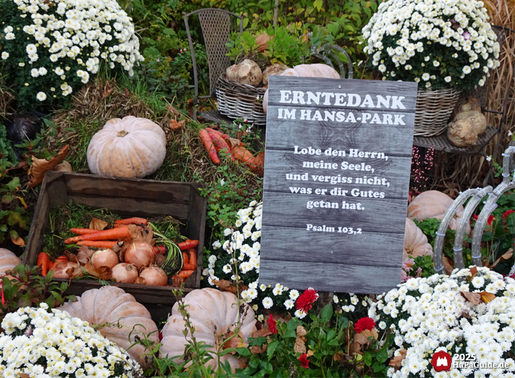 Erntedank-Dekoration im Hansa-Park mit Holzschild und Bibelvers Psalm 103,2, umgeben von Kürbissen, Karotten, Zwiebeln und weißen Chrysanthemen