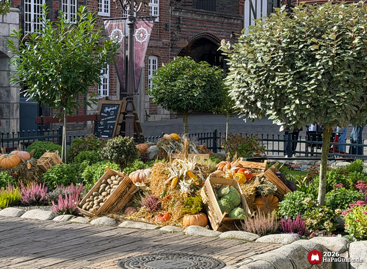Erntedank-Dekoration im Hansa-Park mit Holzkisten voller Kürbisse, Kartoffeln und Kohl, umgeben von bunten Herbstpflanzen und kleinen Bäumen hinter der Blumenuhr vor Backsteinfassaden