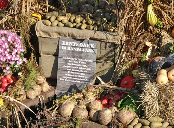 Bilder-Galerie öffnen