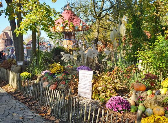 Bilder-Galerie öffnen