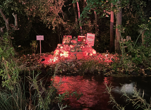 Bilder-Galerie öffnen