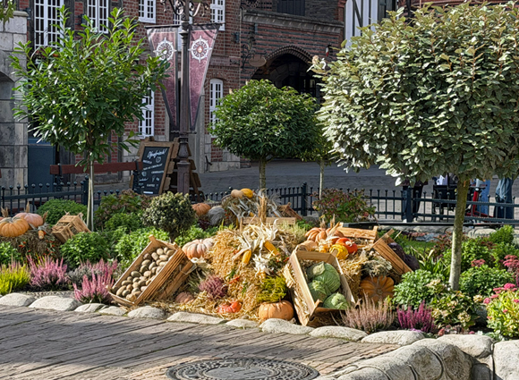 Bilder-Galerie öffnen