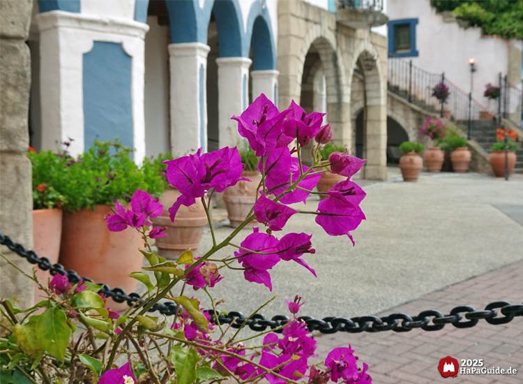 Fiesta del Mar - Lila Blüten vor den Arkaden der Arena del Mar