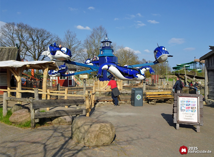Flying Orcas - Fliegende Orkas um einen kleinen Leuchtturm