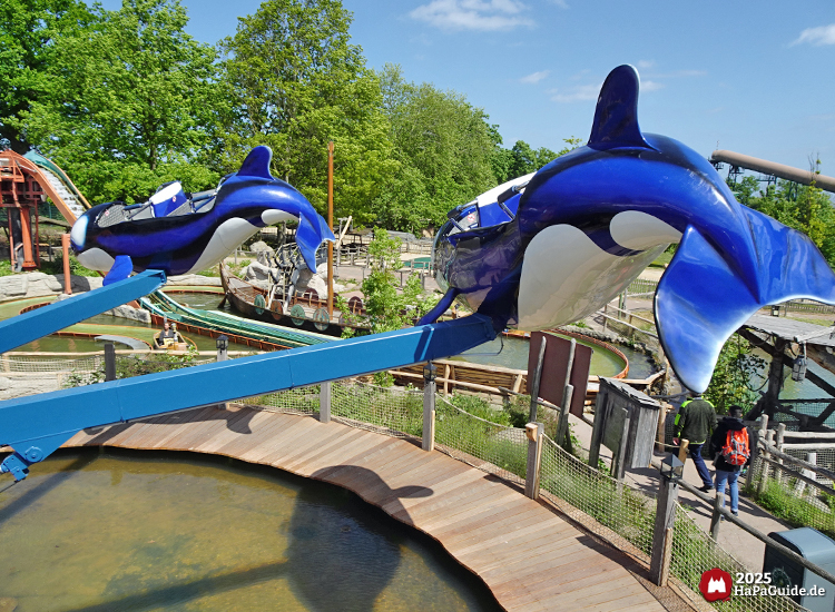 Flying Orcas - Blick aus den Flying Orcas auf das Vikingerschiff Viking Odin