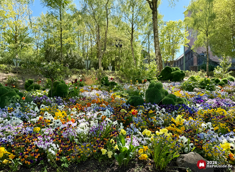 Farbenprächtiges Blumenbeet im Hansa-Park mit bunten Stiefmütterchen, Tulpen und grünen Tierfiguren aus Buchsbaum, umgeben von hohen Bäumen und sonnigem Frühlingslicht bei der Blumenmeerbootsfahrt