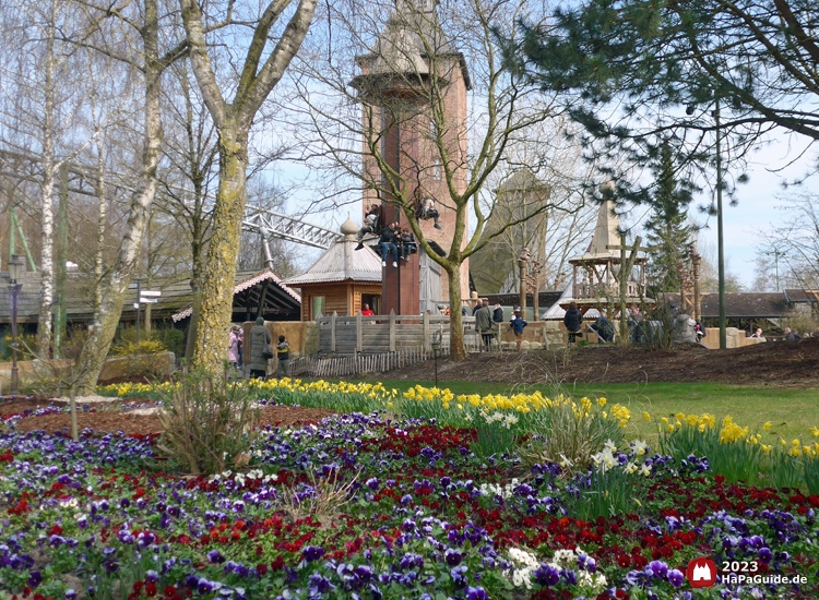 Frühjahrsblüte - Frühlingsblumen Peterhof von Novgorod
