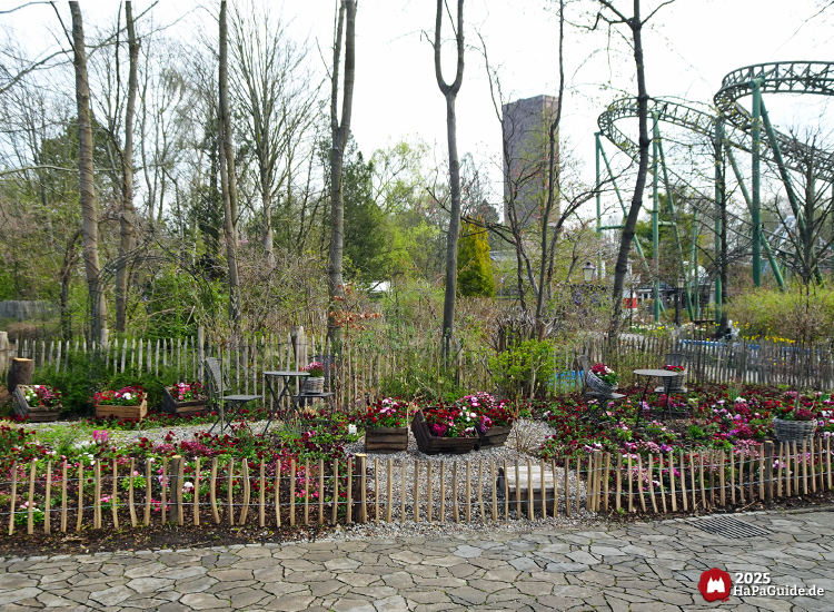 Frühjahrsblüte - Umzäuntes Beet im Hansa-Garten