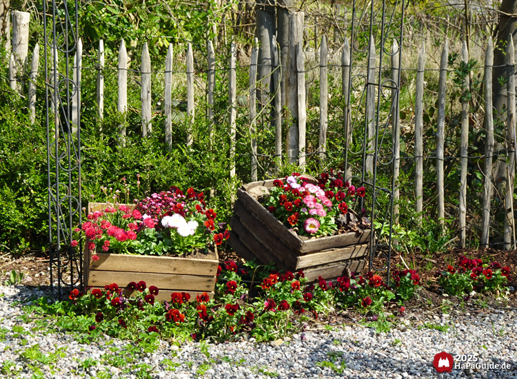Frühjahrsblüte - Bepflanzte Holzkisten